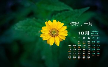 幼儿园10月份的工作总结8篇