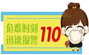 110警察节工作总结参考5篇