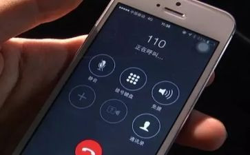 110警察节工作总结7篇