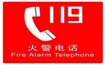 小学119消防安全活动总结5篇