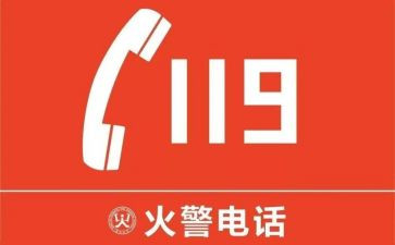 幼儿园小班119活动教案参考5篇