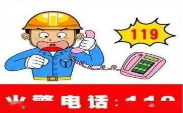 幼儿园小班119活动教案最新5篇