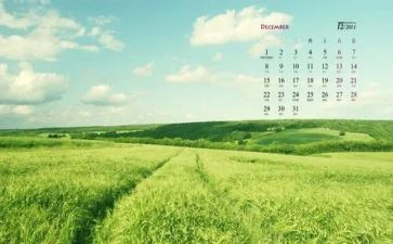 12月安全心得体会6篇