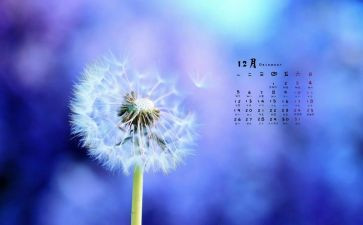 12月的工作总结最新6篇