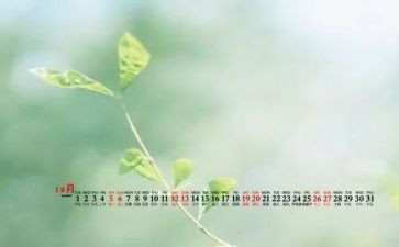 202212月工作总结7篇