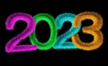 2023年公司半年总结5篇