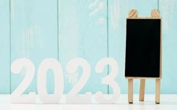 幼儿园2023年党建工作计划5篇