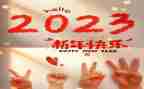 2023年爱国卫生月工作总结优秀6篇