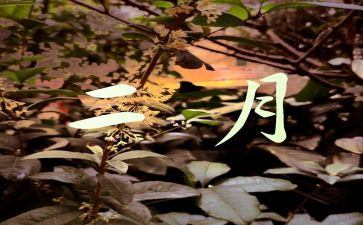 2月份工作总结模板5篇