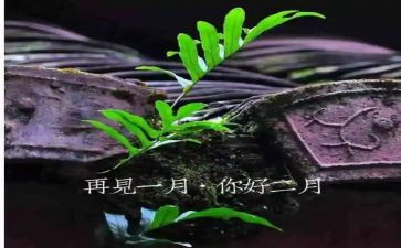 团委2022月工作计划6篇