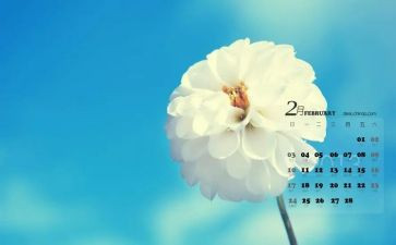 销售2月份工作总结7篇