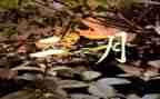 2月工作报告8篇