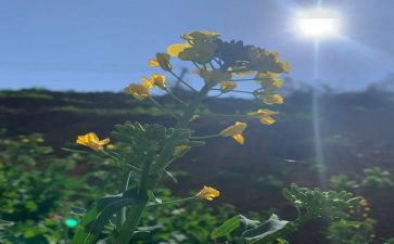 3月活动总结8篇