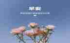 大班3月份月总结5篇