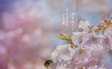 2023年3月份述职报告8篇