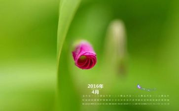 4月初新工作计划6篇
