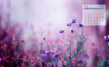 4月25宣传总结6篇