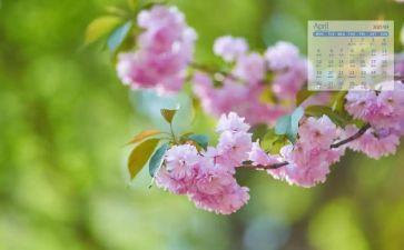 幼儿园小班4月份月总结8篇