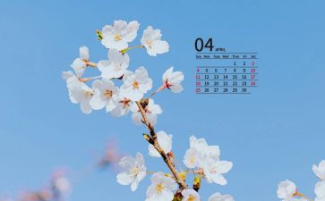4月份活动方案6篇