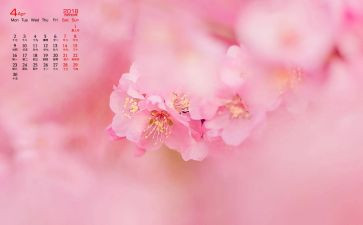 幼儿园2022年4月份工作计划8篇