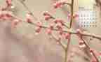 4月份幼儿园中班工作总结6篇