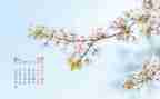 保育计划4月工作计划5篇