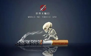 531计划培训心得体会5篇