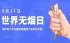干部531培训心得体会精选7篇