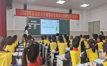 单双数大班教案5篇
