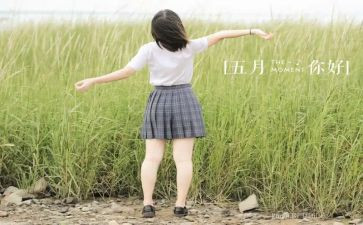 5月工作报告7篇