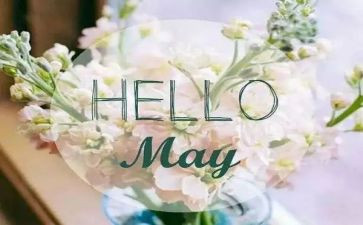 5月份保育工作计划7篇