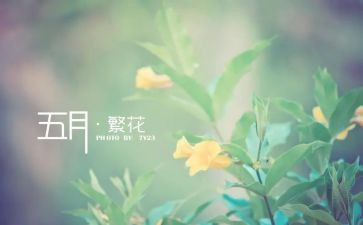 幼儿园5月份党日活动方案8篇