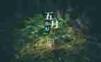 服装5月工作计划6篇