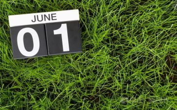 幼儿园小班6月份月总结5篇