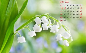 6月安全心得体会8篇
