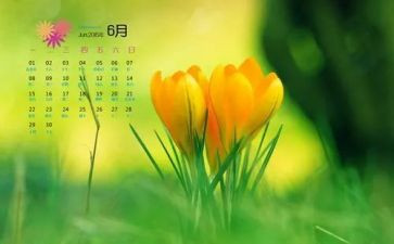 6月安全生产月活动总结6篇