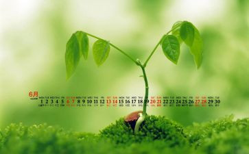 6月教师心得5篇