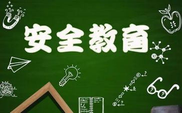 关于911是件的读后感优秀6篇