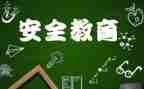 关于911是件的读后感优秀6篇