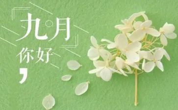 2024年9月的工作总结范文8篇