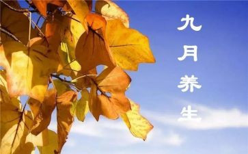 9月工作总结范文5篇