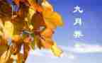 幼儿园小小班9月份工作总结精选6篇