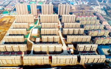 安置点申请书8篇