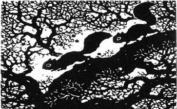 纸版画心得体会6篇