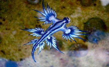 初二生物学期工作总结5篇