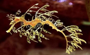 初中生物教研工作总结5篇