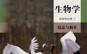高中生物教师年度总结个人总结6篇