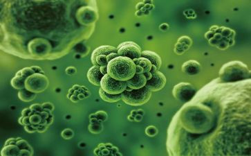 生物组年终总结7篇