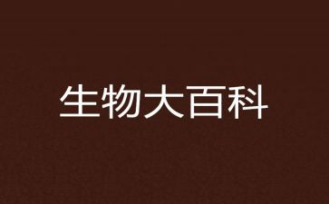 生物教师工作计划总结5篇