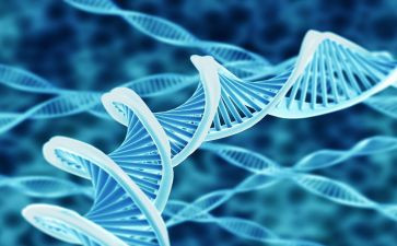 生物组教研工作计划6篇
